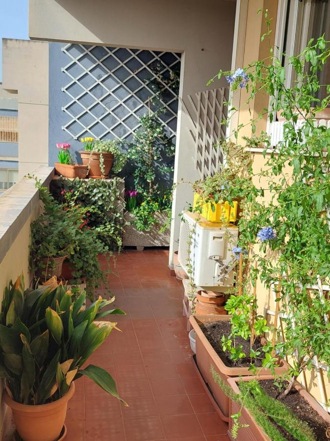 Bellavista Apartment Κάλιαρι Εξωτερικό φωτογραφία